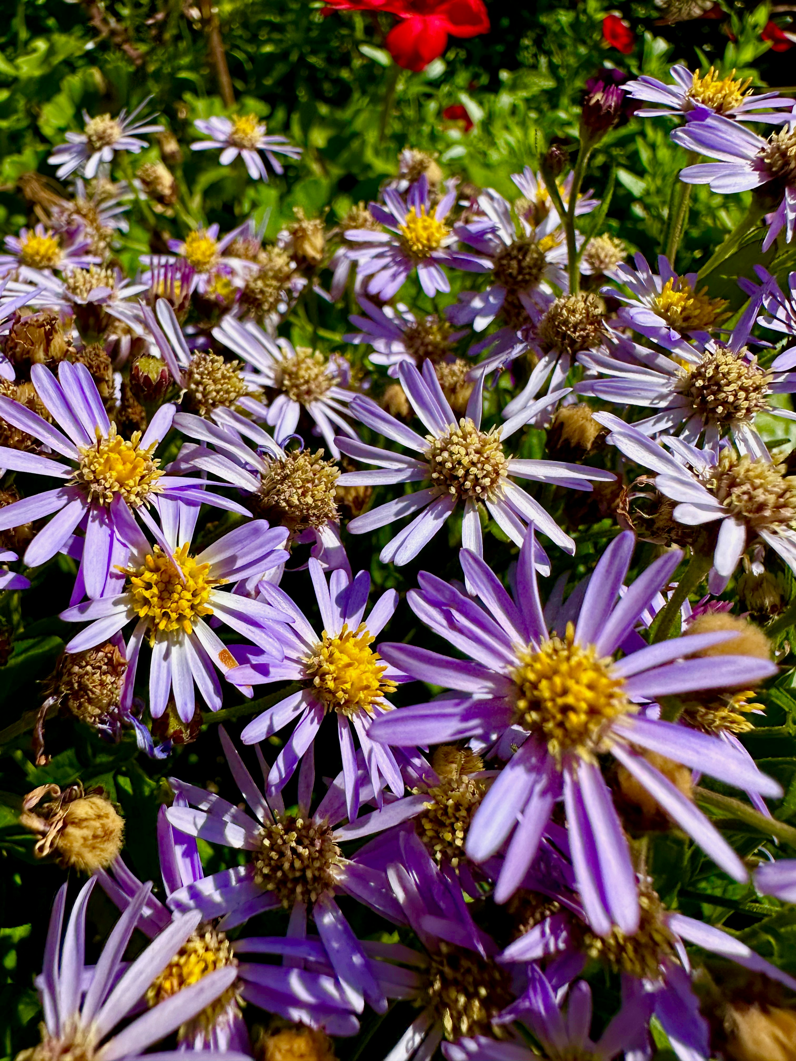 Photo by lostillusion