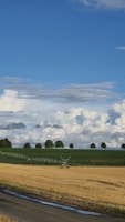 A rural landscape featuring a wide open field with a clear blue sky and scattered clouds in the background. The horizon shows a row of evenly spaced trees, and an irrigation structure runs across the green section of the field.