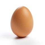 A single brown egg positioned vertically against a plain white background, emphasizing its smooth texture and natural speckled surface.