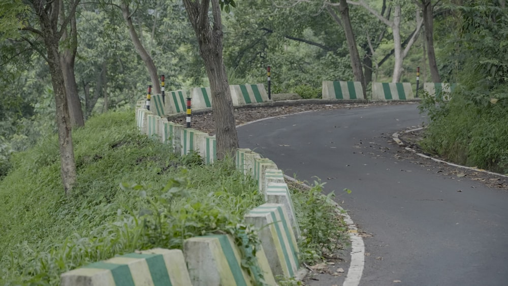 a curved road surrounded by lush green trees