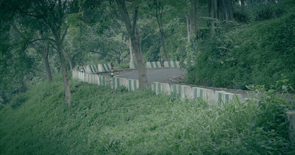 a winding road in the middle of a lush green forest