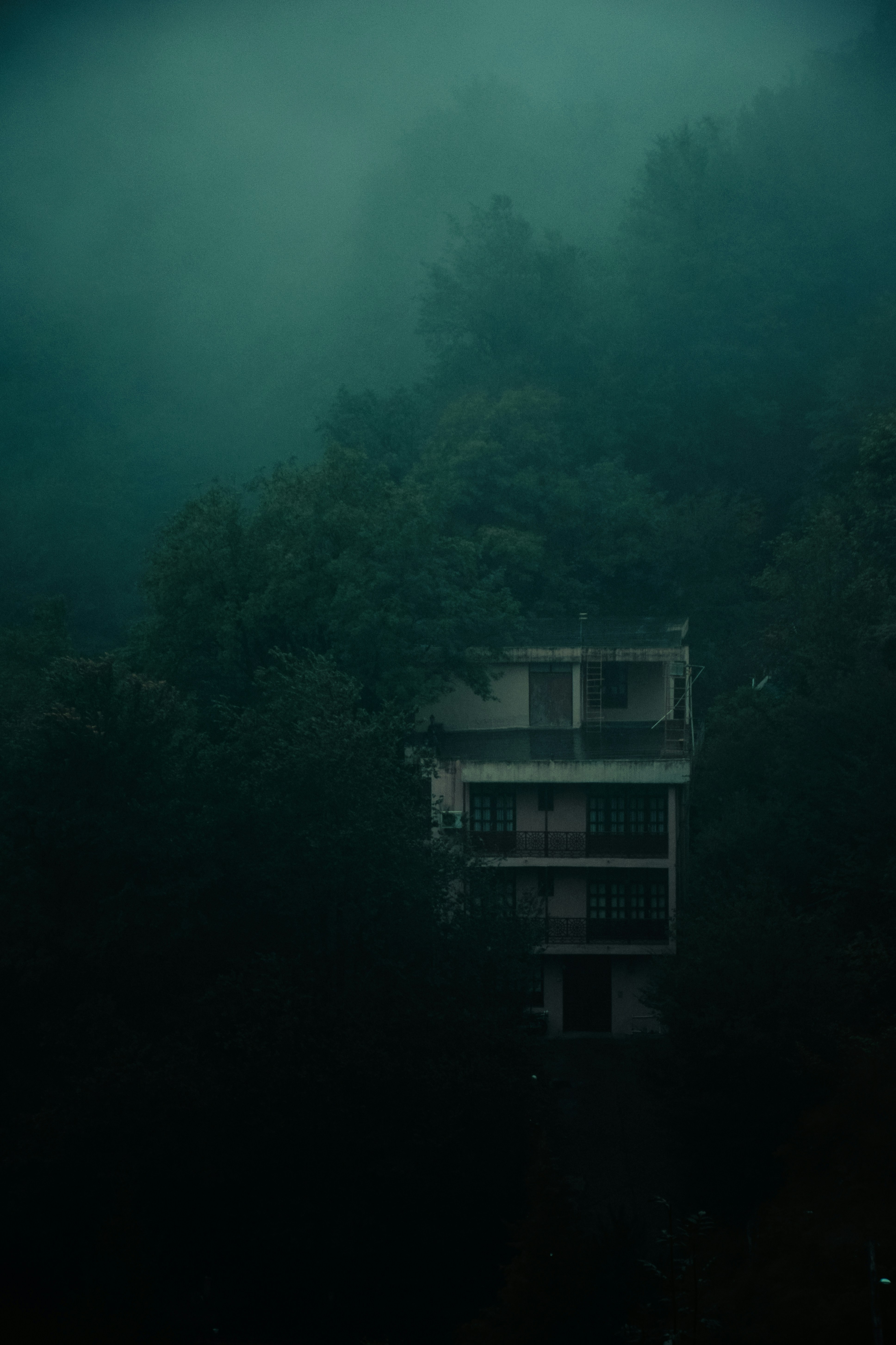 misty green mountain wallpaper, wallpaper, Sejarah Gunung Klotok Kediri: Mitos dan Pesona Alamnya 3