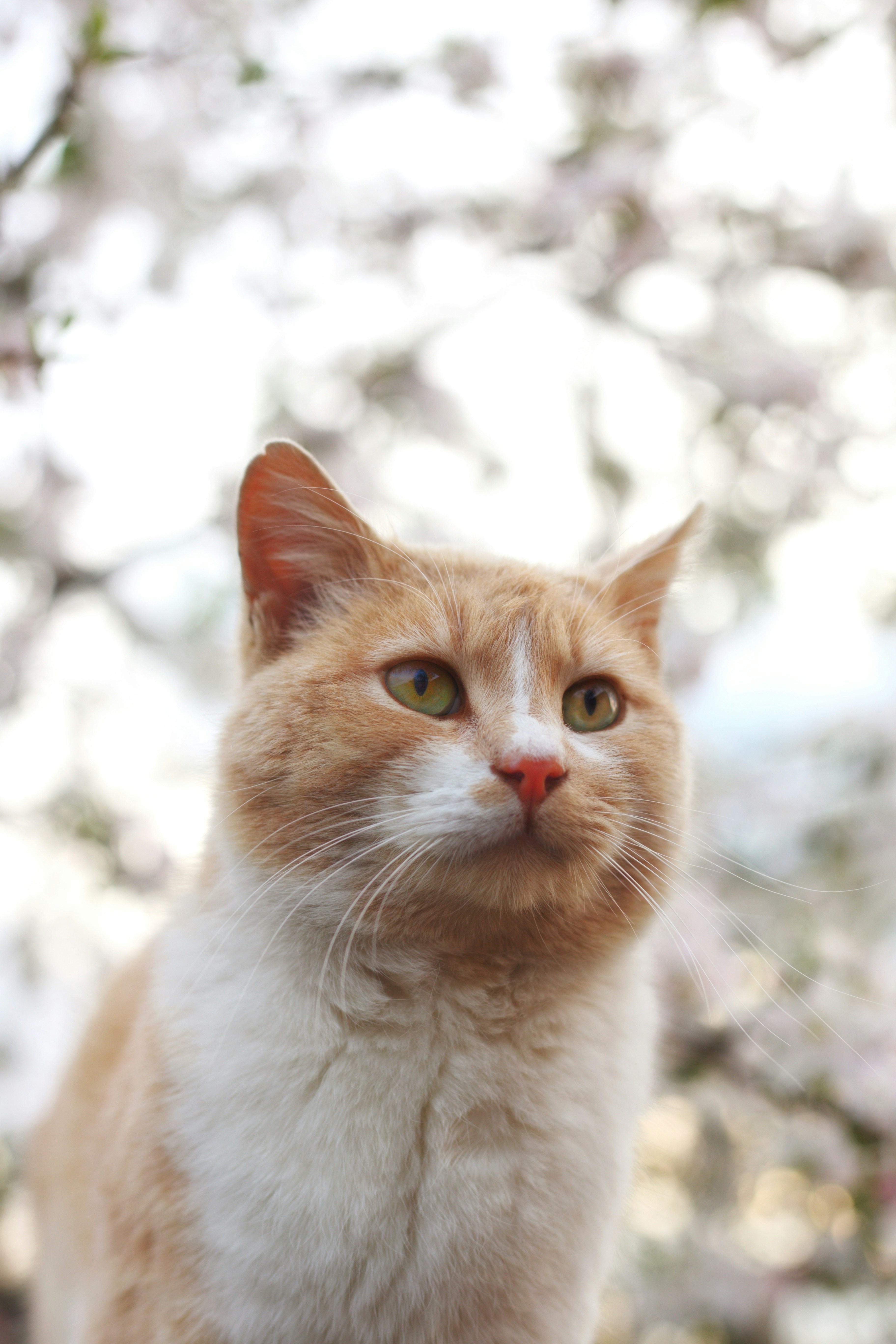 Photo by alexcooper13