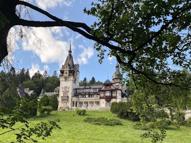 A whimsical castle structure surrounded by lush greenery under a bright blue sky.