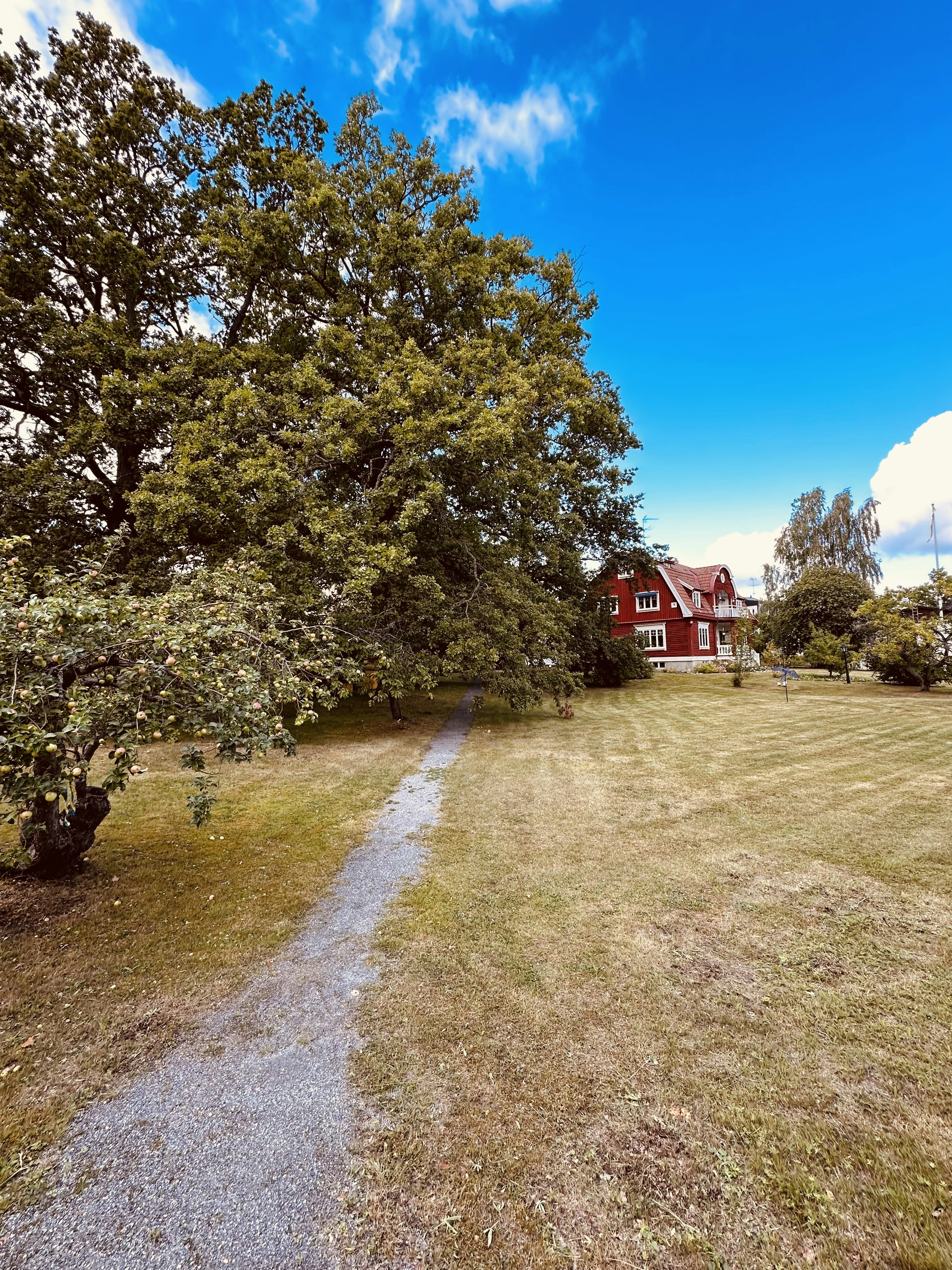 Modern Front Yard Plan