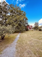 A vibrant 3D rendering of a home exterior with landscaping.