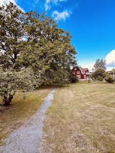A lush green landscape with a large tree on the left, a grassy lawn, and a narrow gravel path leading towards a charming red wooden house with white accents. The sky is a bright blue with scattered clouds.