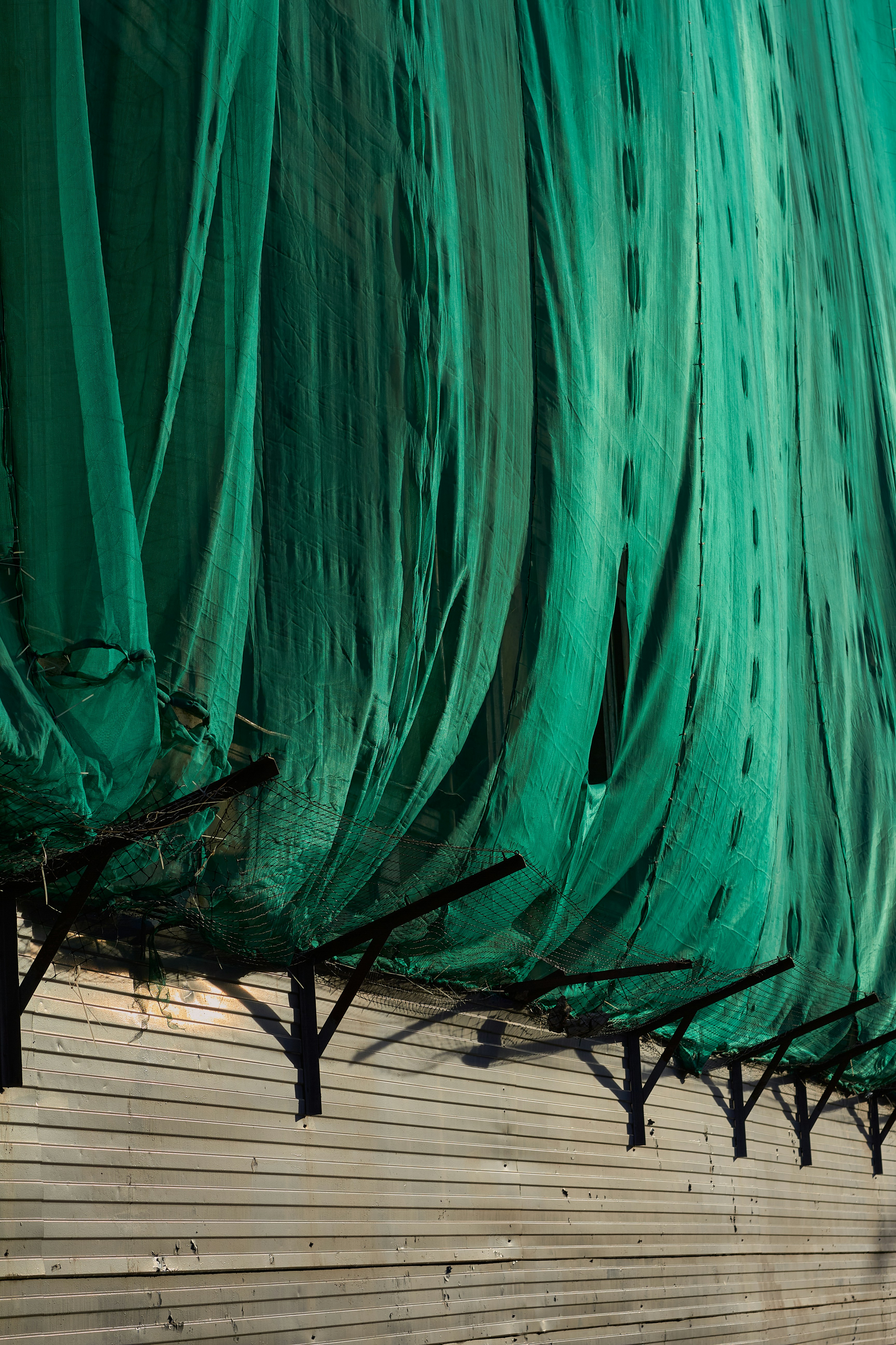 Flap Away the Intruders: Bird Netting Installation in Sinhgad Road, Wadgaon Nanded City