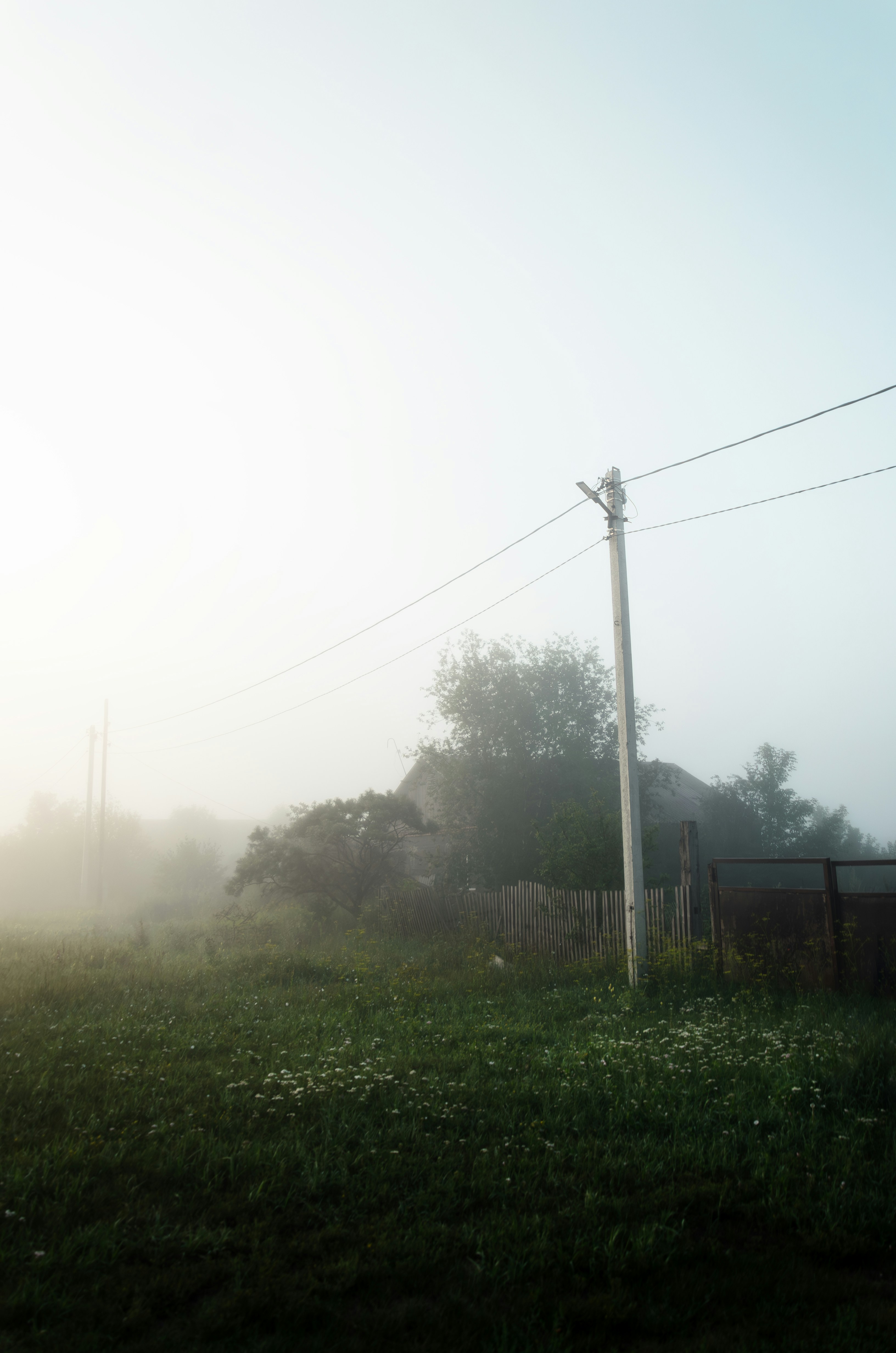 Photo by litvinov