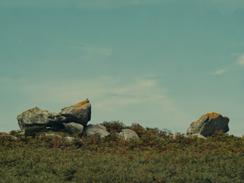 two large rocks sitting on top of a grass covered hill