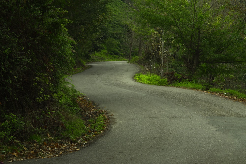 an empty road in the middle of a forest