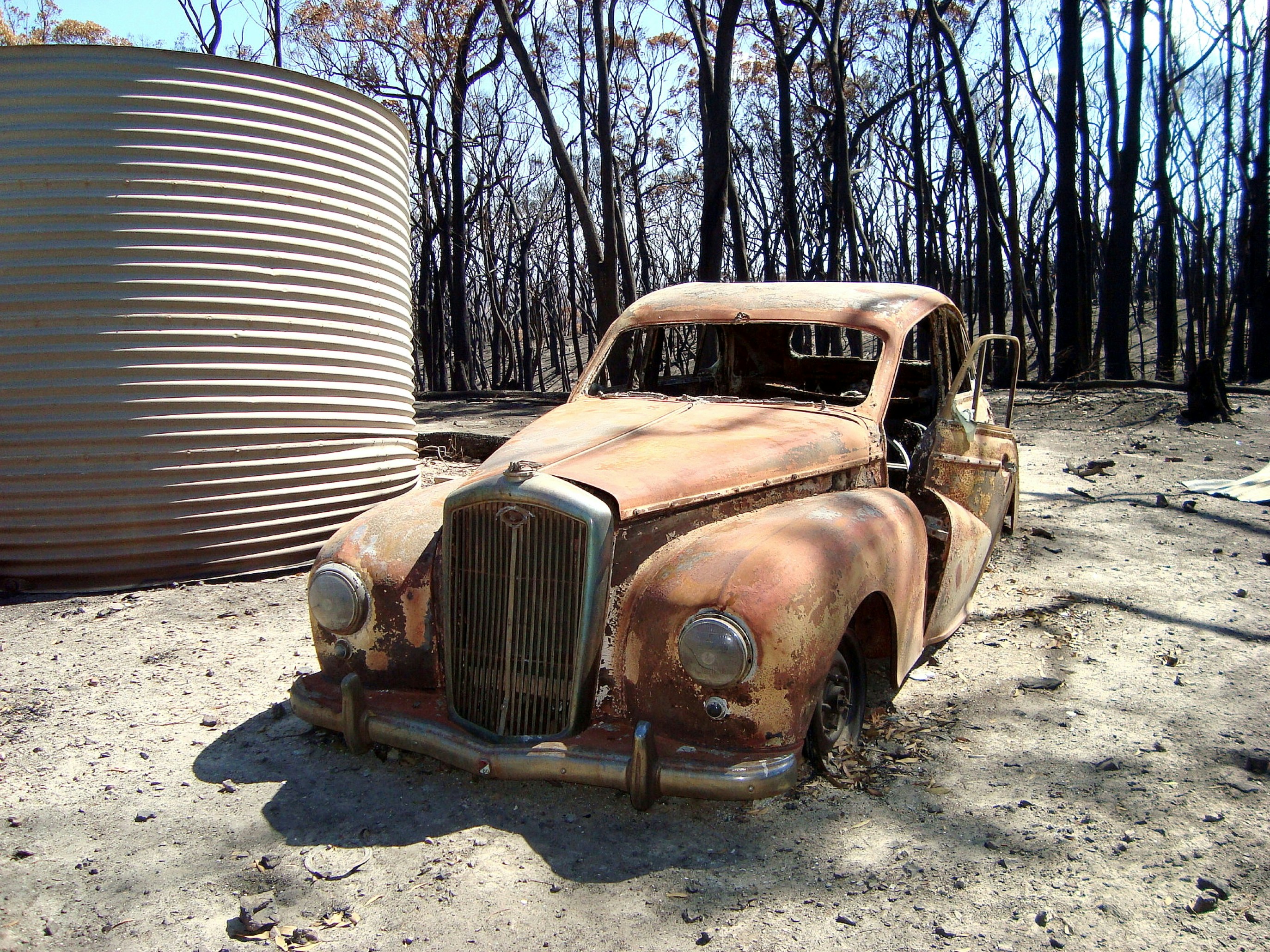 Photo by craigmanners_com