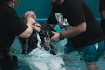 Two people assist another person being submerged in water, possibly for a religious ceremony like baptism. The setting is a shallow pool with turquoise water, and all individuals are wearing dark clothing.