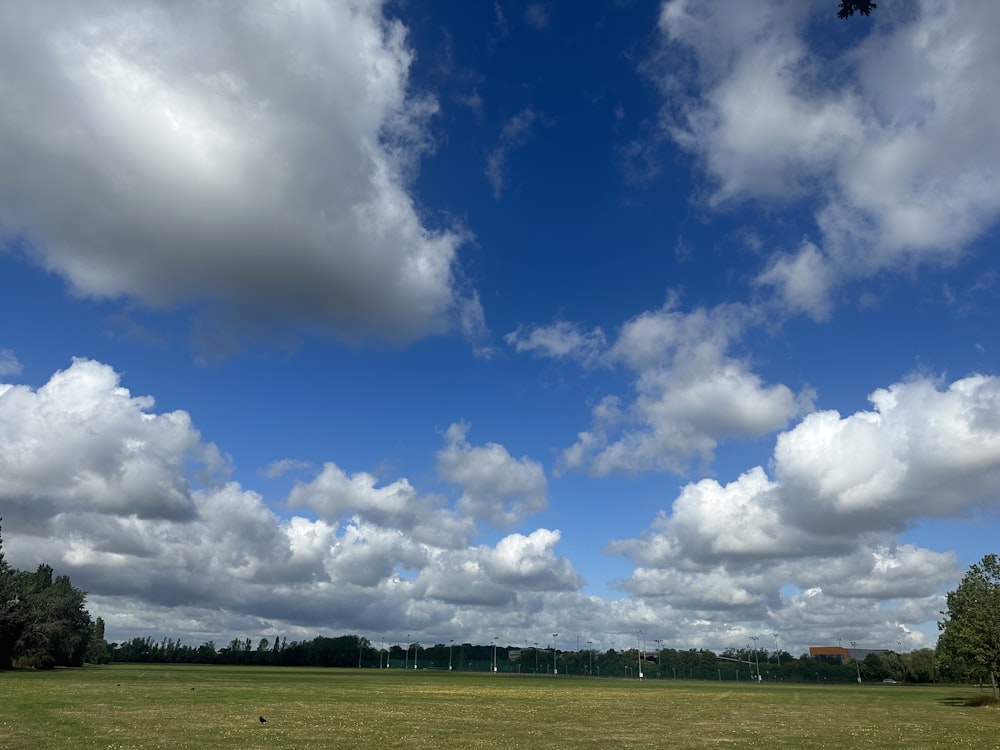 a grassy field with trees and clouds in the background