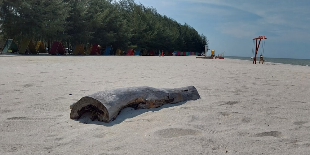 Un pezzo di legno su una spiaggia sabbiosa