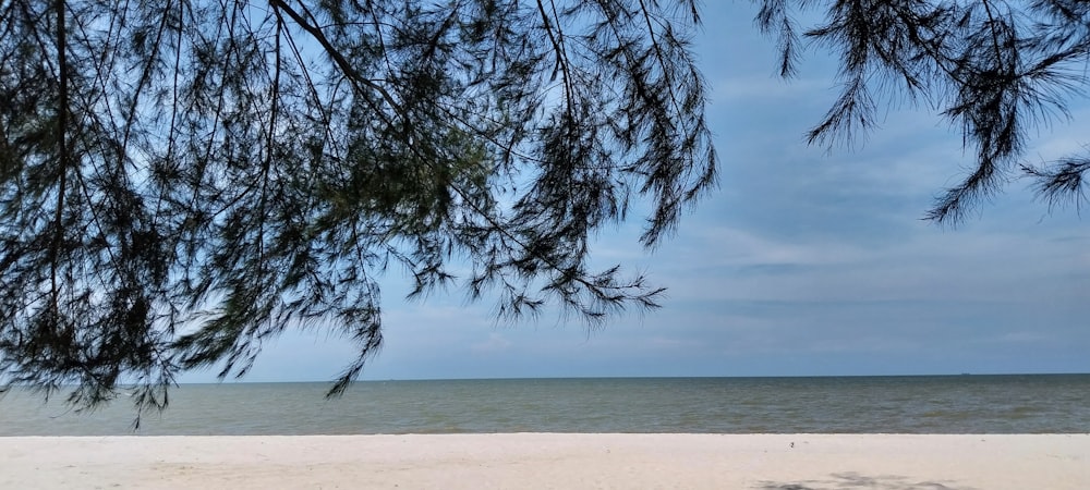 a bench sitting on top of a sandy beach next to the ocean