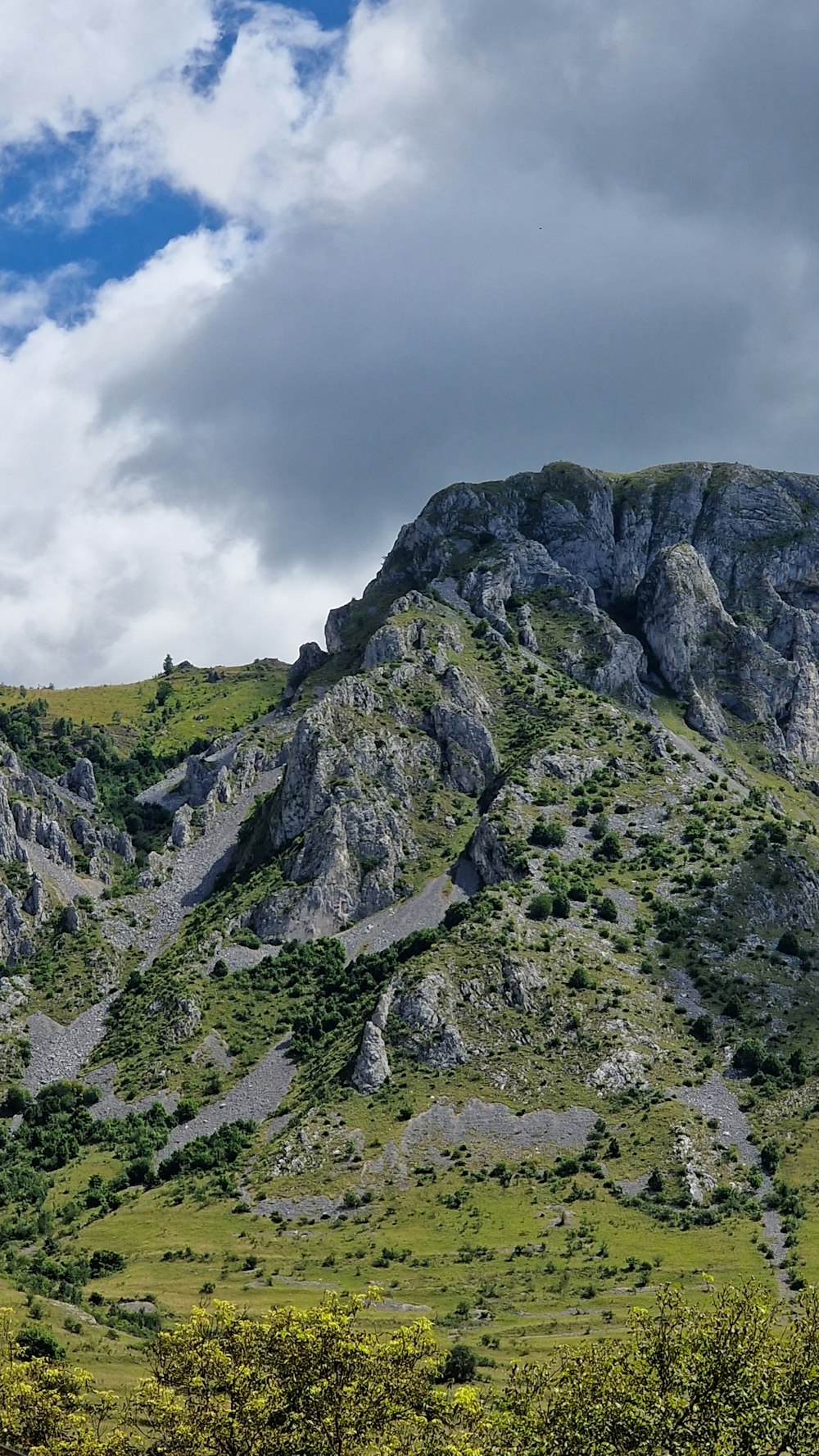 a mountain with a grassy field below it