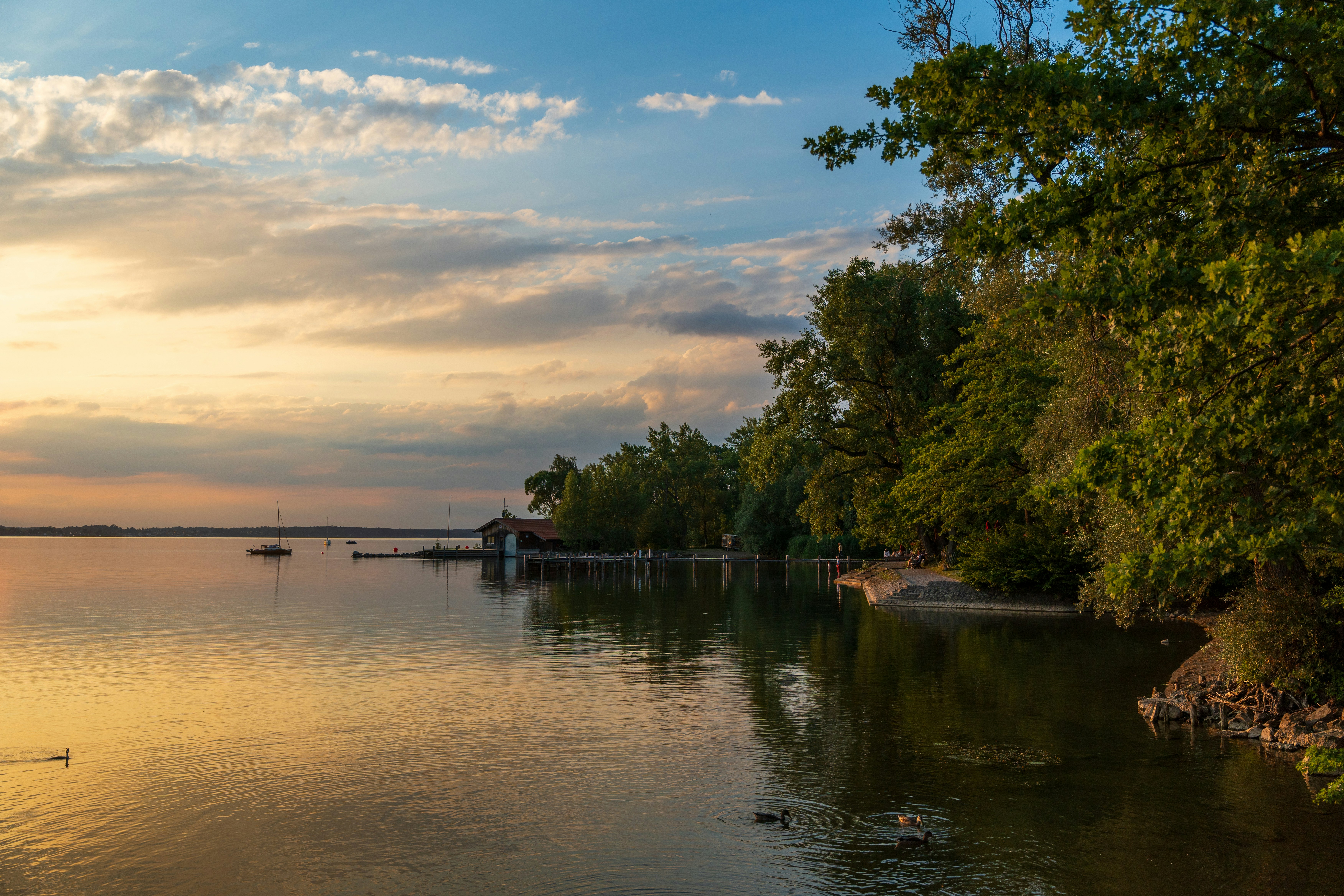 Photo by masoodaslami