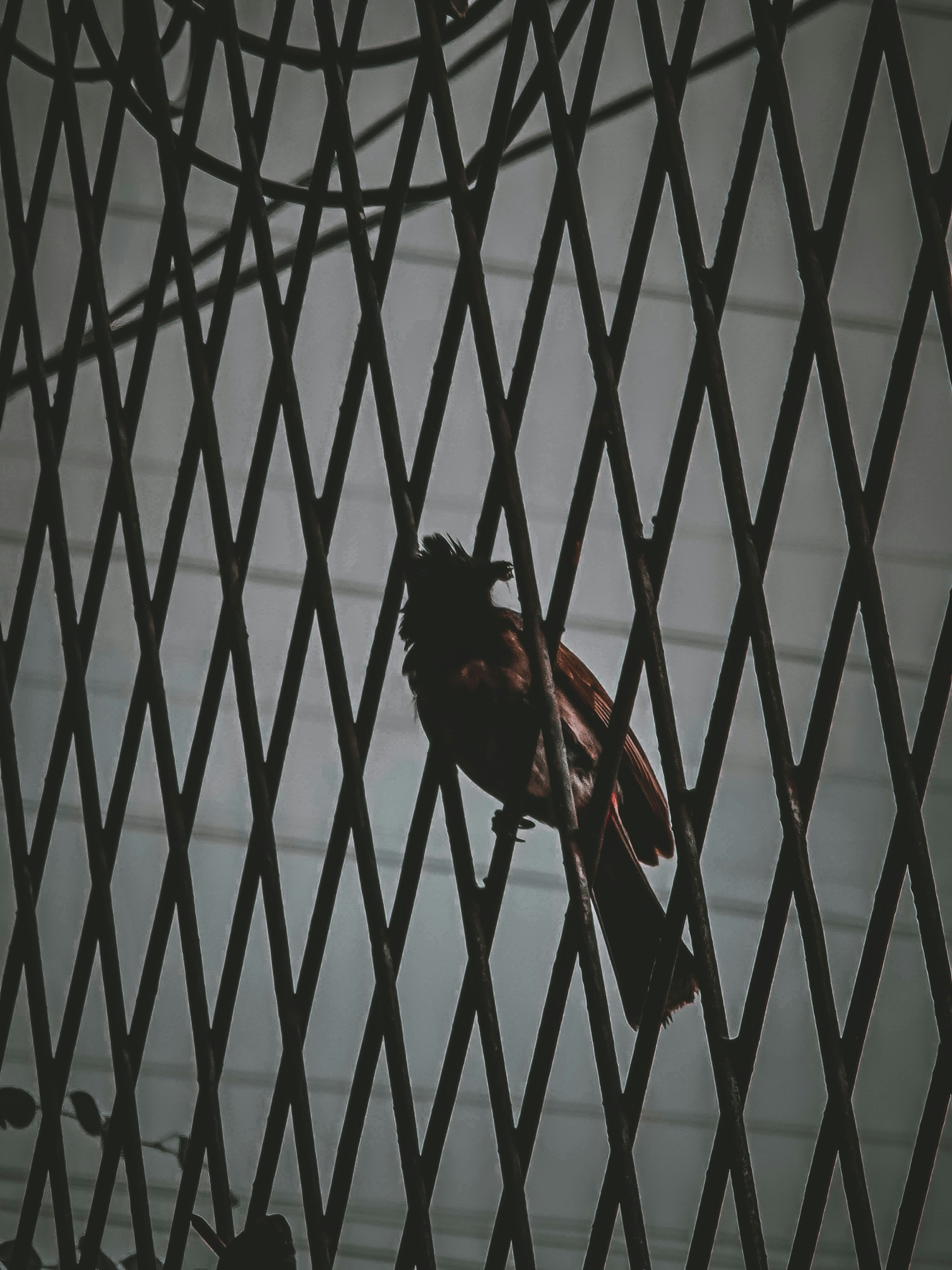 a bird sitting on top of a metal fence