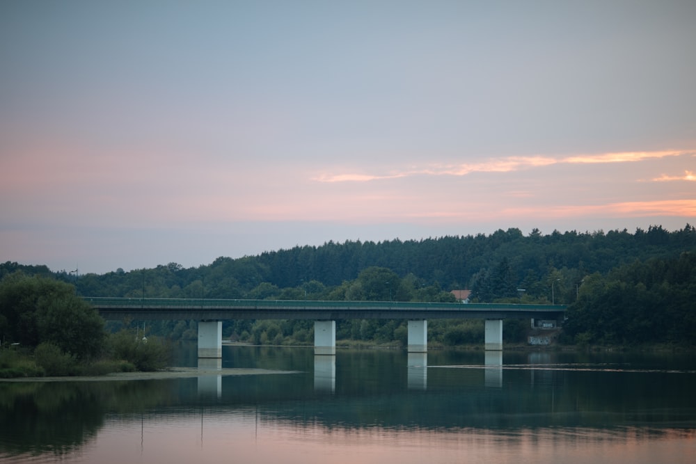 a bridge over a body of water with trees in the background