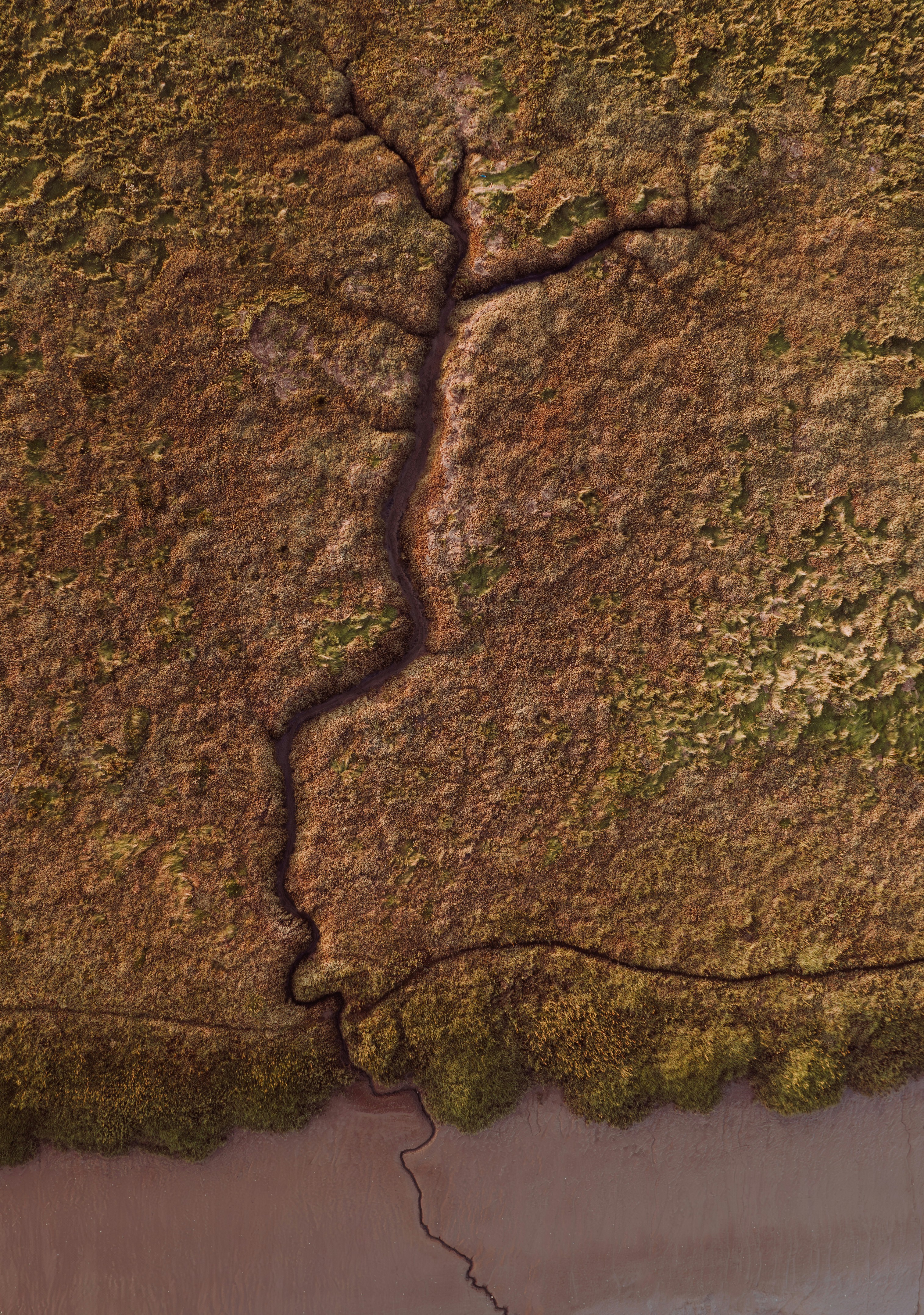 Photo by markmcneillphotography