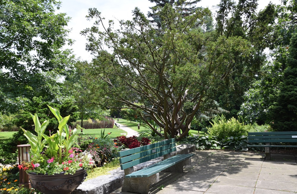 a wooden bench sitting next to a lush green park