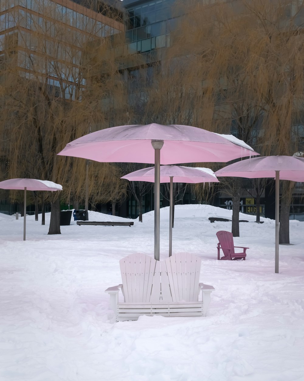 ピンクの傘の下に座っている芝生の椅子のカップル