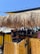 A beachside bar with a thatched roof and a man standing at a DJ booth, browsing on a phone. The area is decorated in a tiki style with wooden elements and string lights overhead. In the background, there is a glimpse of the beach with people lounging under umbrellas.