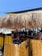 A beachside bar with a thatched roof and a man standing at a DJ booth, browsing on a phone. The area is decorated in a tiki style with wooden elements and string lights overhead. In the background, there is a glimpse of the beach with people lounging under umbrellas.