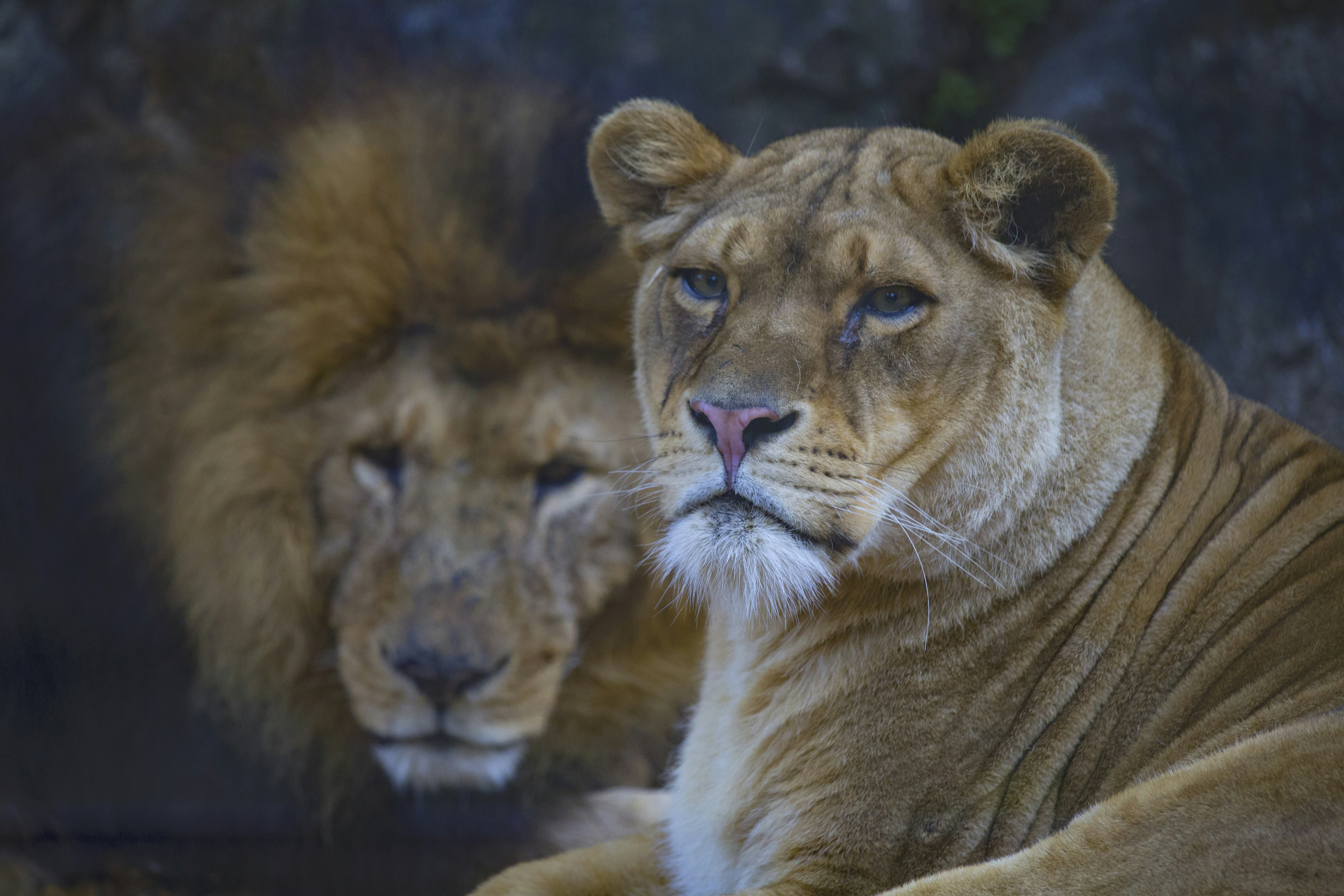 Photo by fulvio161161