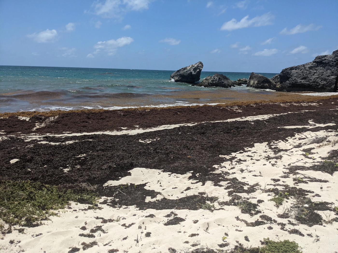 Barbados coastline