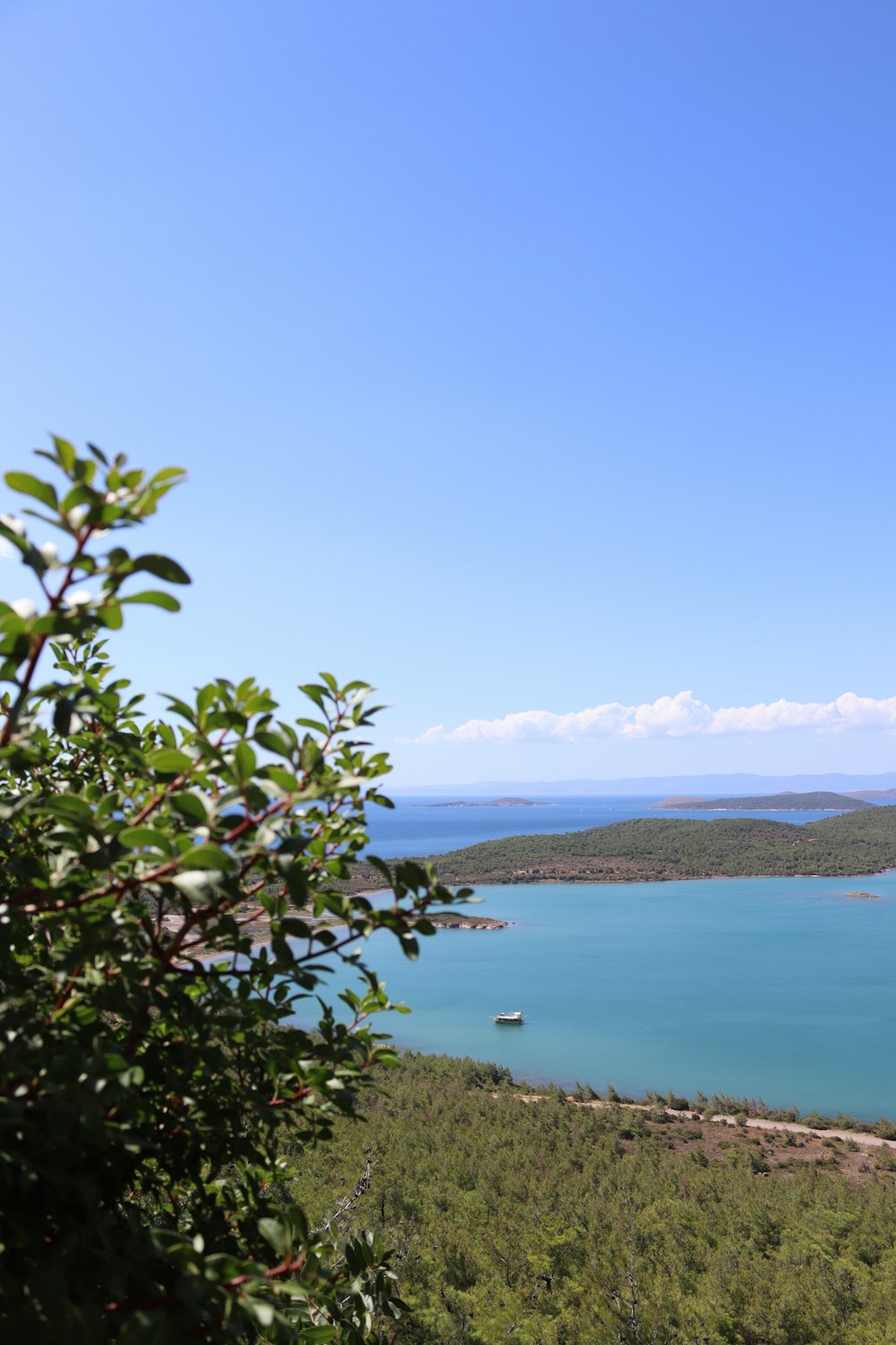 a large body of water surrounded by trees