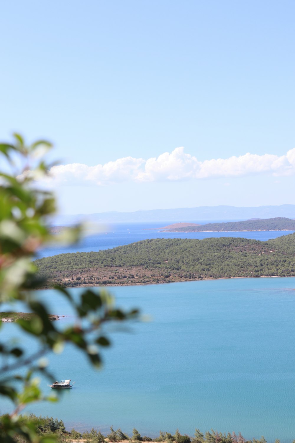 a large body of water surrounded by trees