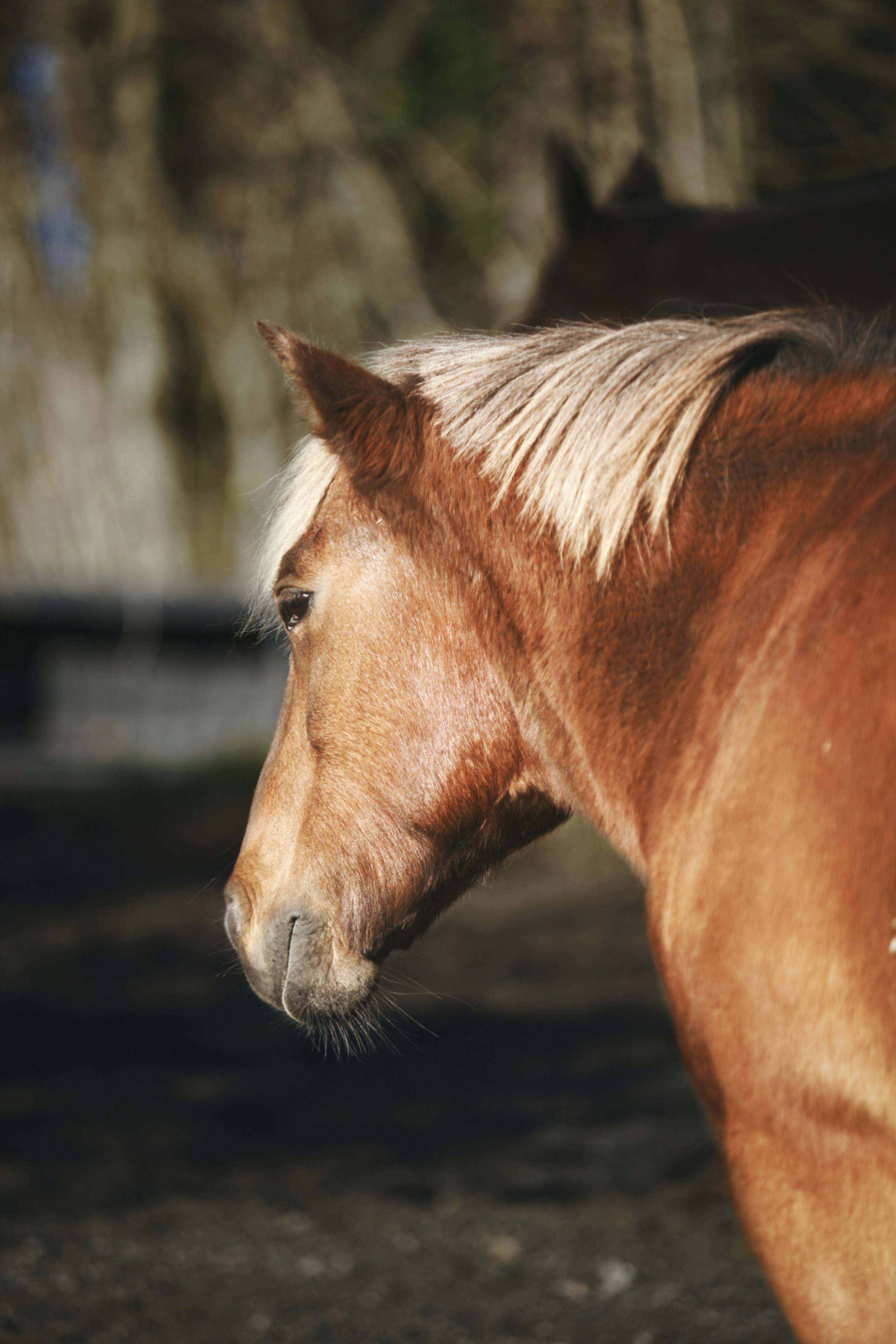 Photo by kristinokarlsen