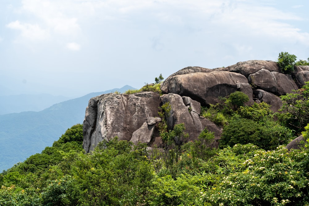 a rocky outcrop in the middle of a forest