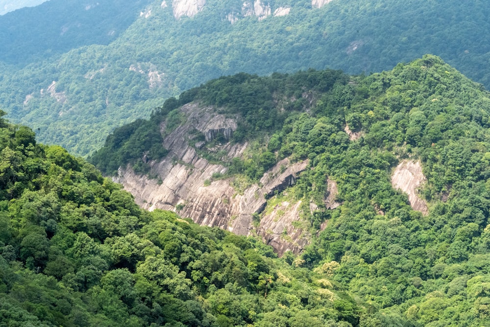 a view of a mountain with a forest below