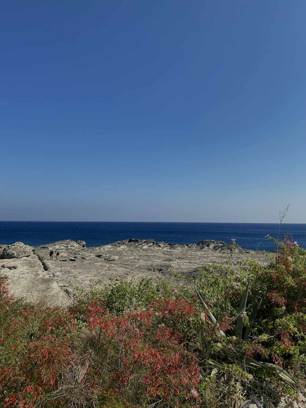 a view of the ocean from a rocky outcropping