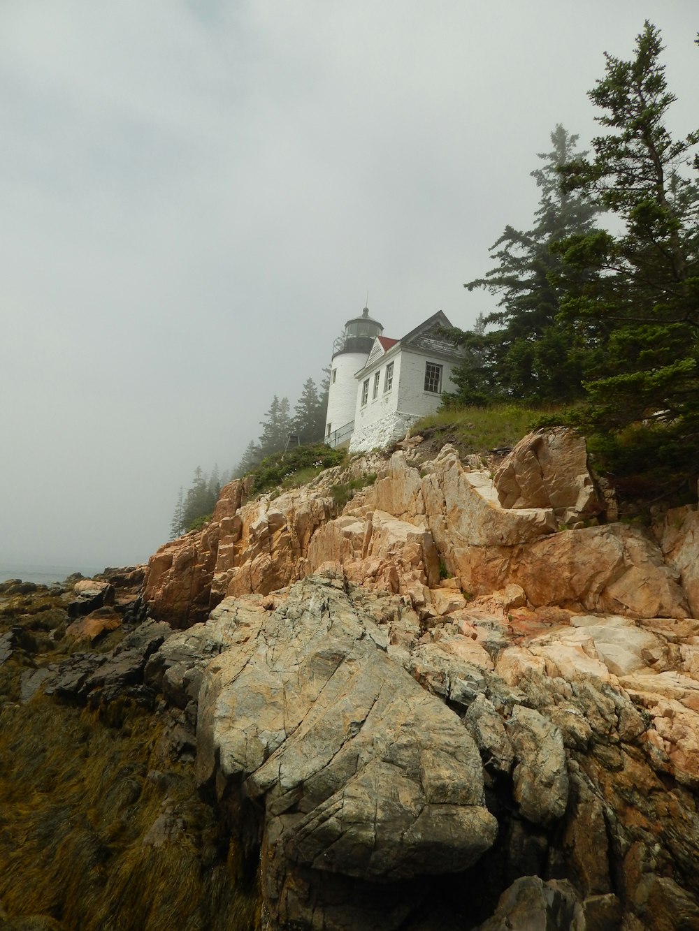 a lighthouse on a rocky shore with trees in the background