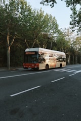 A bus with the number 150 and destination PLEspanya is parked on a tree-lined street. The bus has a red front and an advertisement on its side. The roadway is empty, with visible lanes and a bicycle lane on the side. Leafy green trees line the sidewalk, casting shadows on the street.