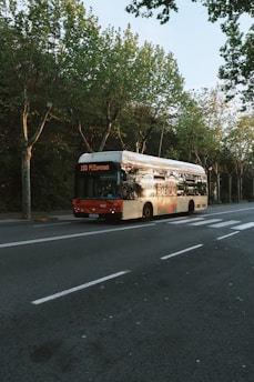 A bus with the number 150 and destination PLEspanya is parked on a tree-lined street. The bus has a red front and an advertisement on its side. The roadway is empty, with visible lanes and a bicycle lane on the side. Leafy green trees line the sidewalk, casting shadows on the street.