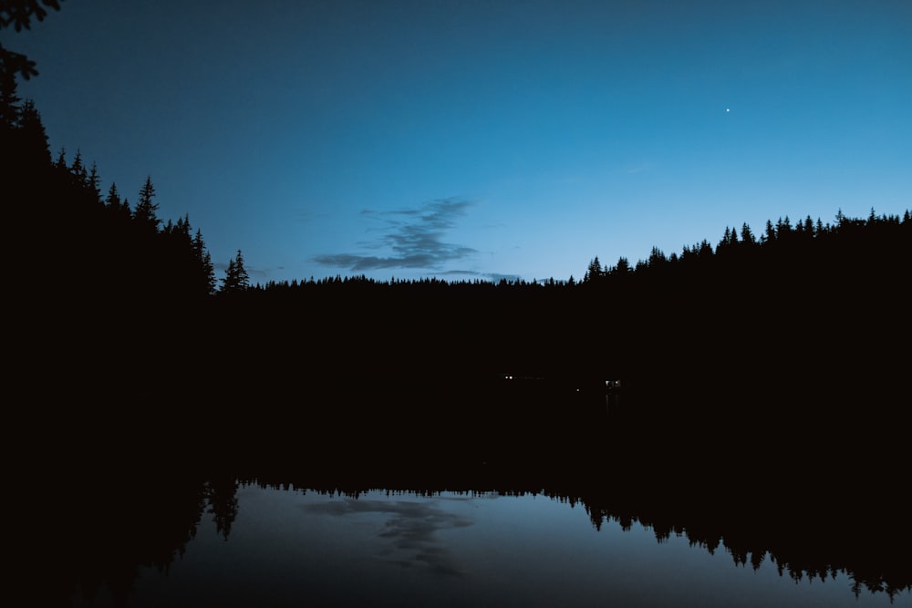 a body of water surrounded by trees at night
