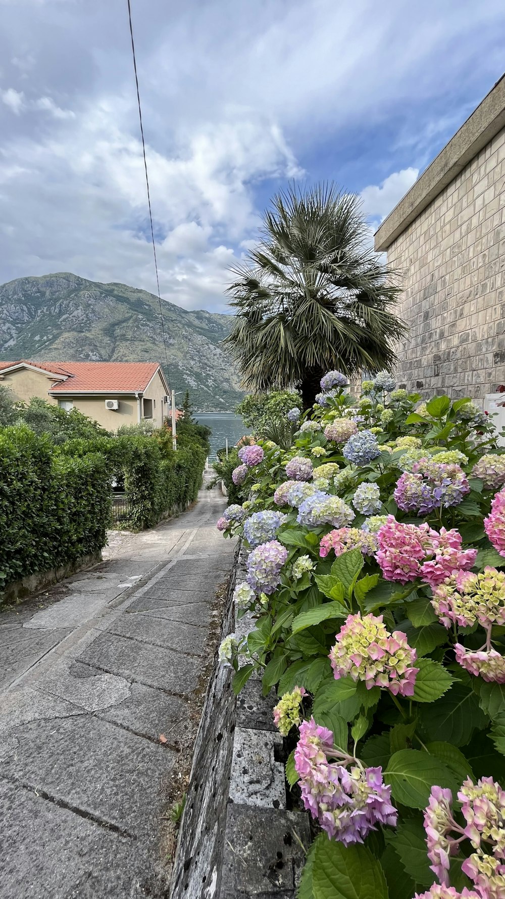 a street with a bunch of flowers on the side of it