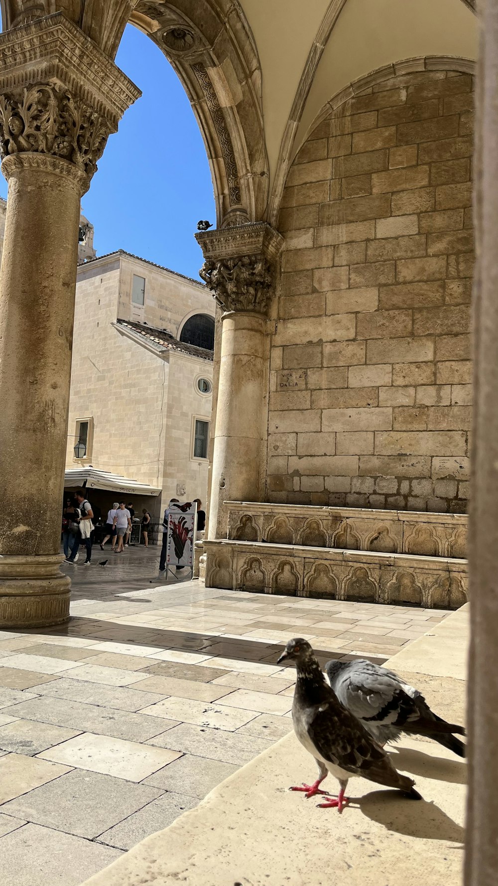 a couple of birds standing on top of a stone floor