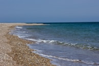 A peaceful beach scene with clean sand, gentle waves, and seashells.