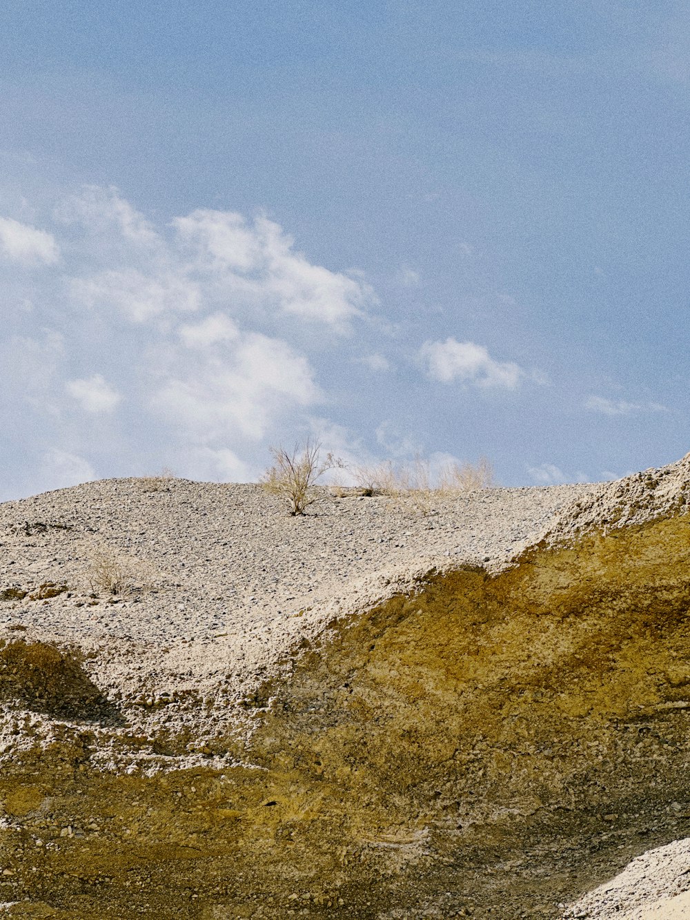 a sheep standing on top of a rocky hill