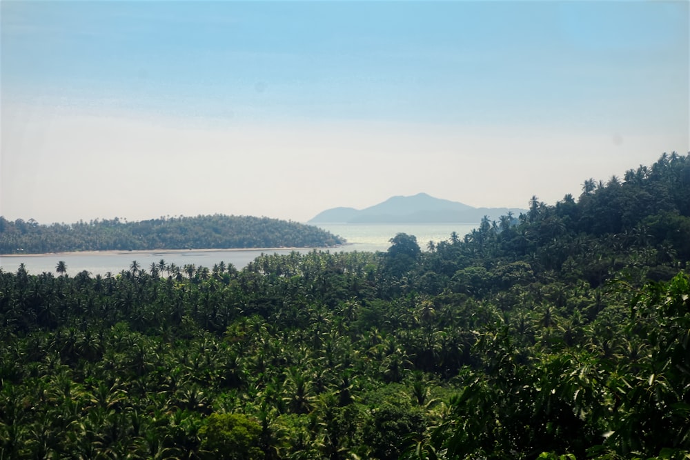 a view of a lake surrounded by trees