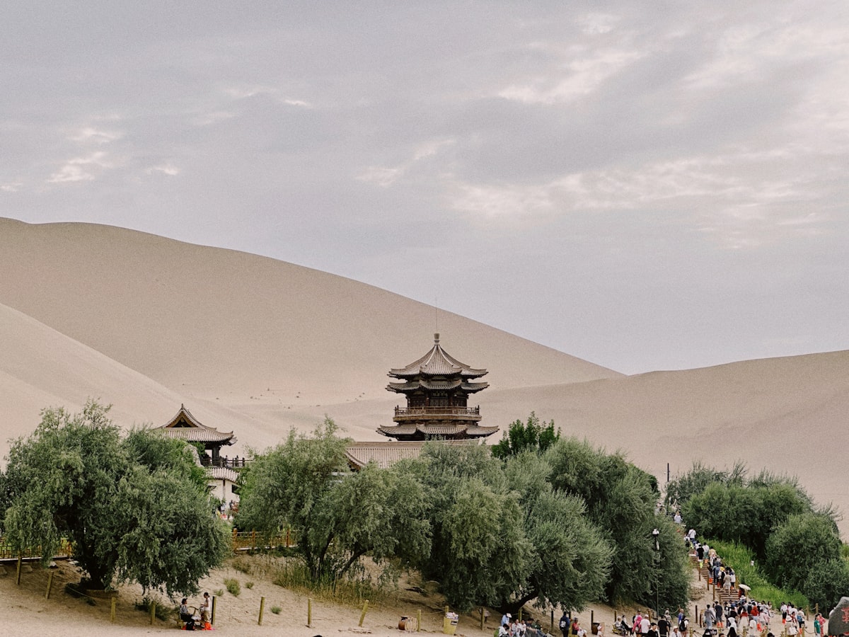 a group of people standing on top of a sandy beach