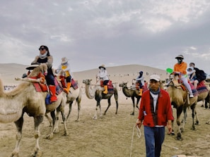 A group of people riding camels led by a guide in a desert landscape. The sky is overcast with clouds. The riders are wearing varied attire, some including scarves, hats, and sunglasses for protection against the sun and sand. The camels are fitted with colorful saddles and blankets.