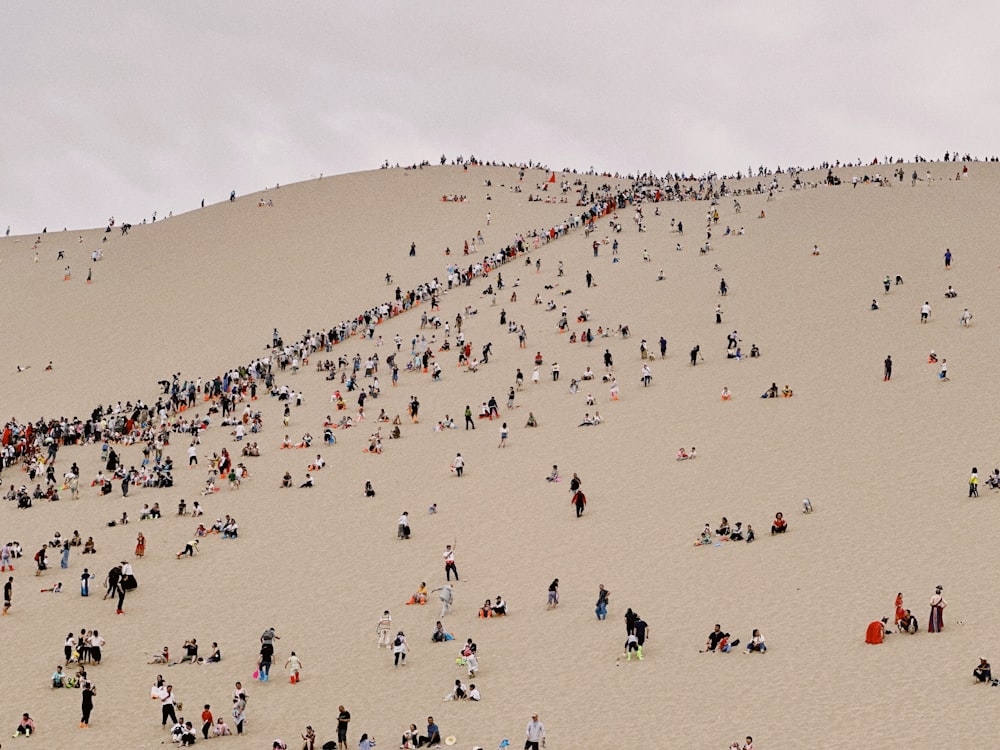 a large group of people standing on top of a sandy hill