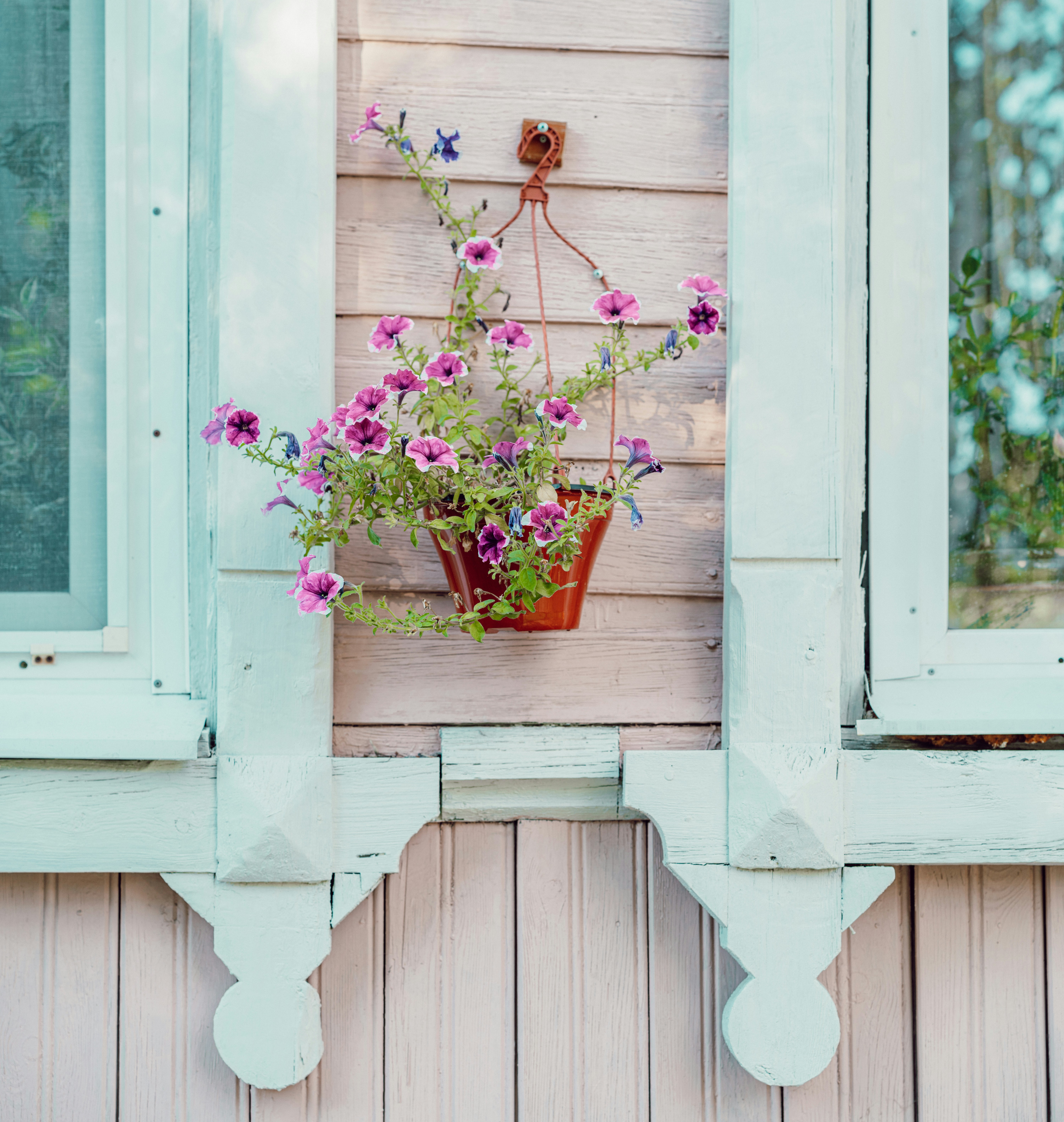 a potted plant on the side of a house